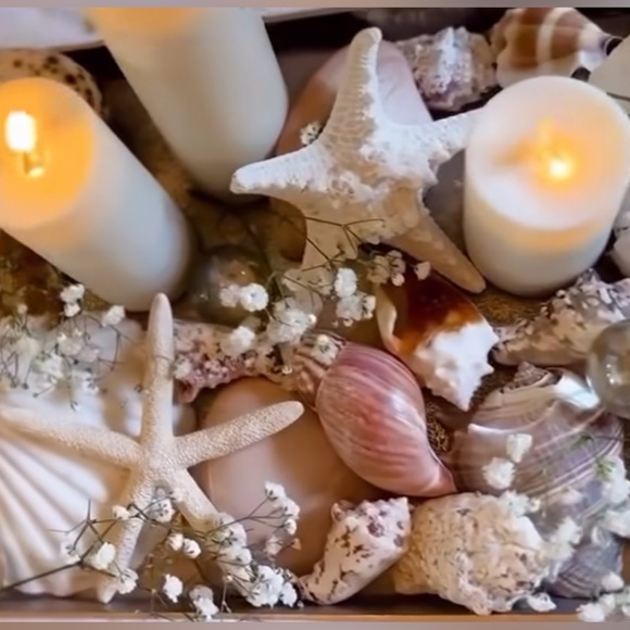 Assorted shells from San Felipe - Picture 6 of 10